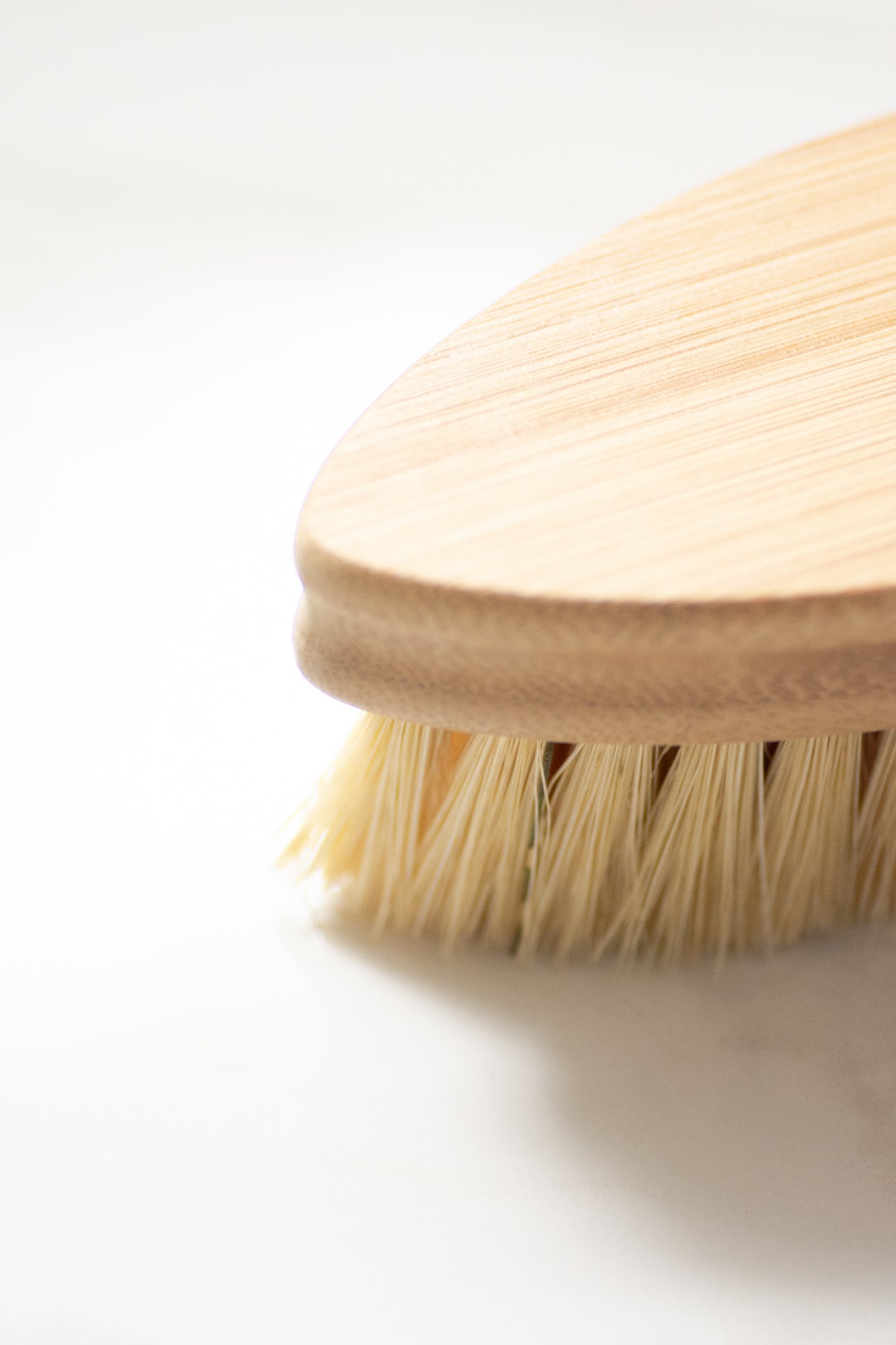 CASA AGAVE® DUO TONE VEGETABLE BRUSH | GENERAL CLEANING - Case of 12