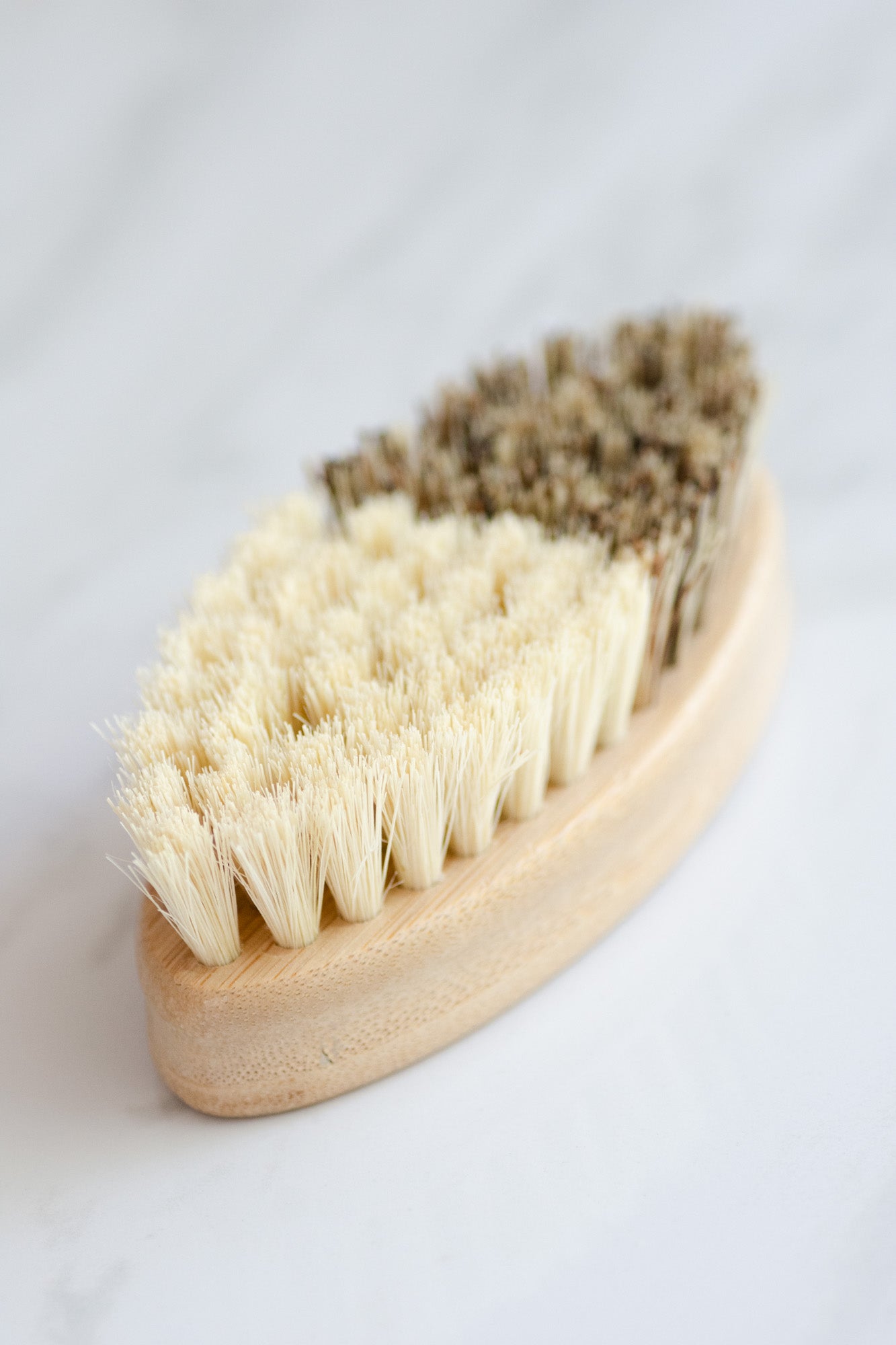 CASA AGAVE® DUO TONE VEGETABLE BRUSH | GENERAL CLEANING - Case of 12