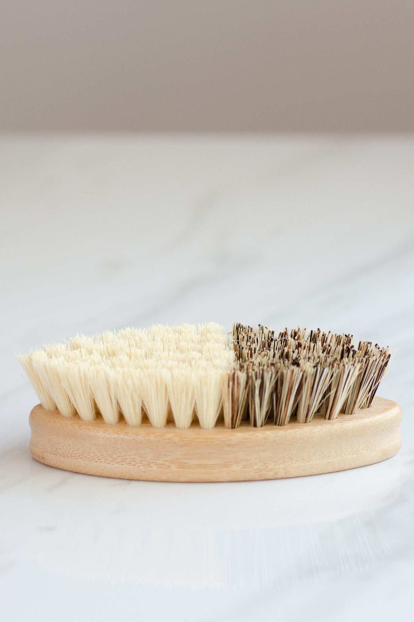 CASA AGAVE® DUO TONE VEGETABLE BRUSH | GENERAL CLEANING - Case of 12