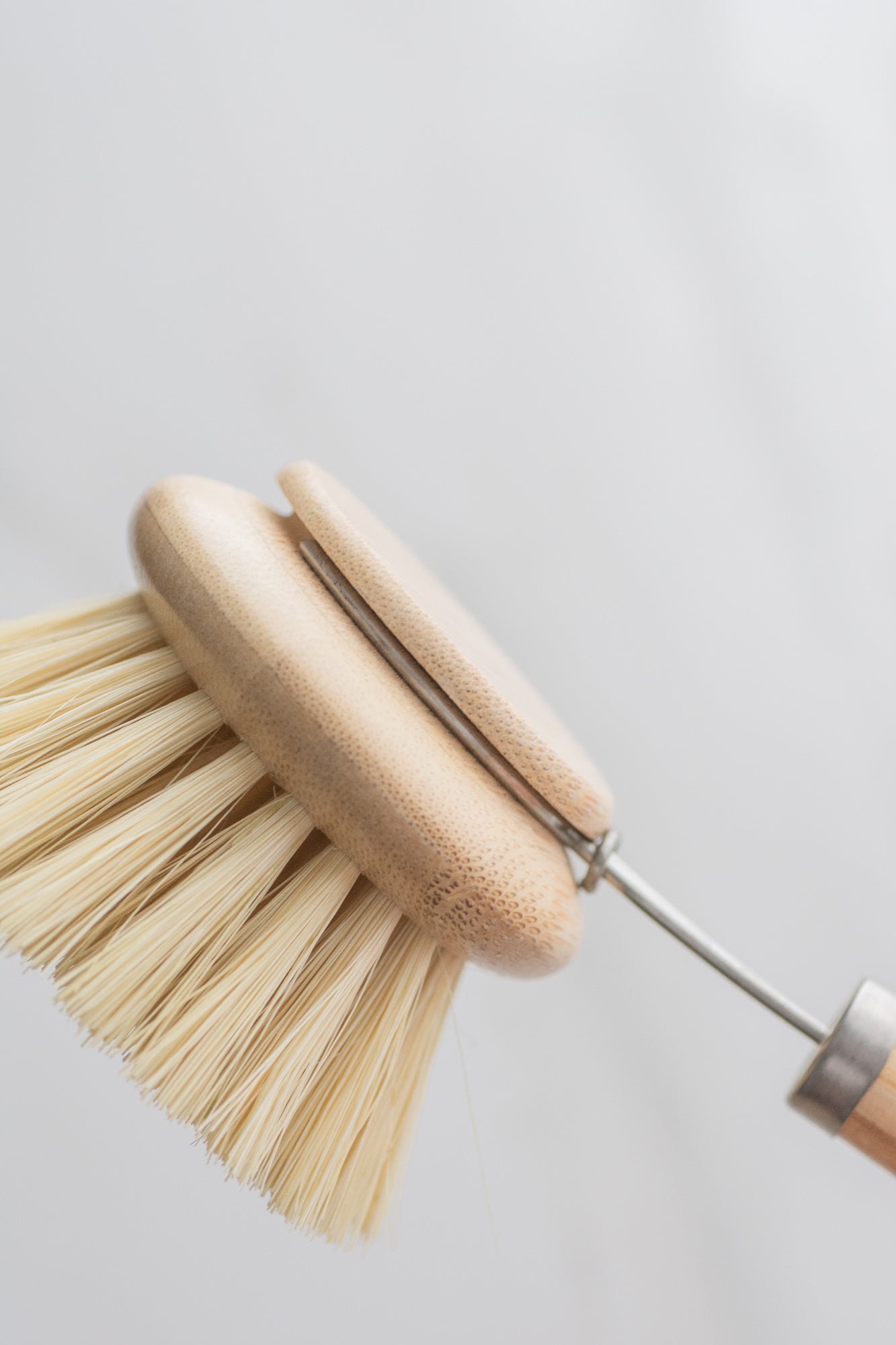 CASA AGAVE® Long Handle Dish Brush with Replaceable Head - NEW - Case of 20