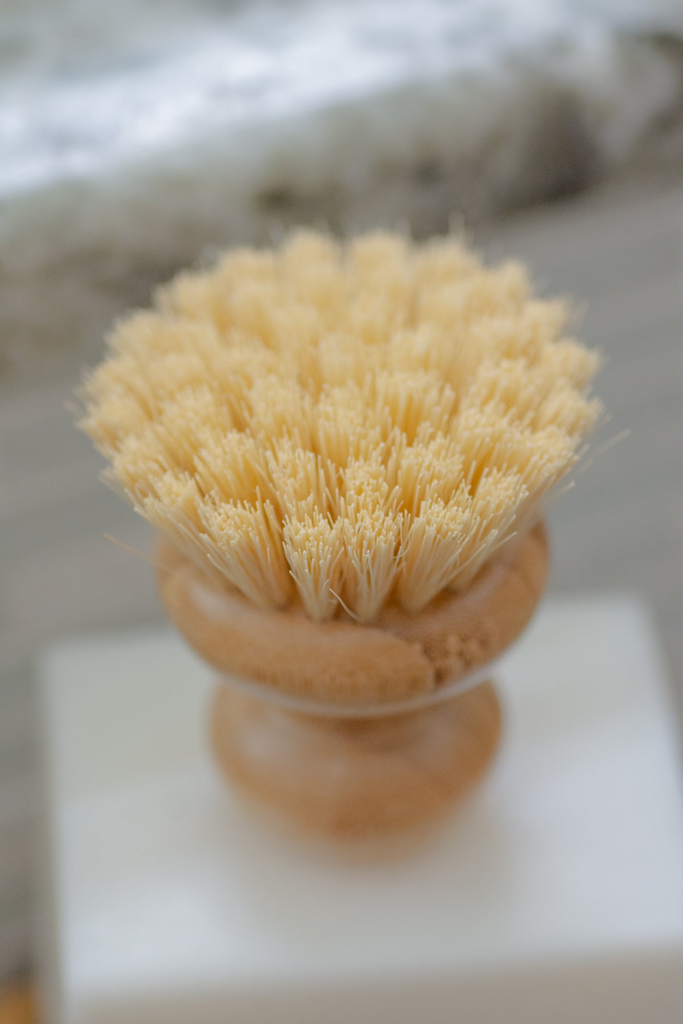 Scrubby Natural Dish Brush – Kaaterskill Market