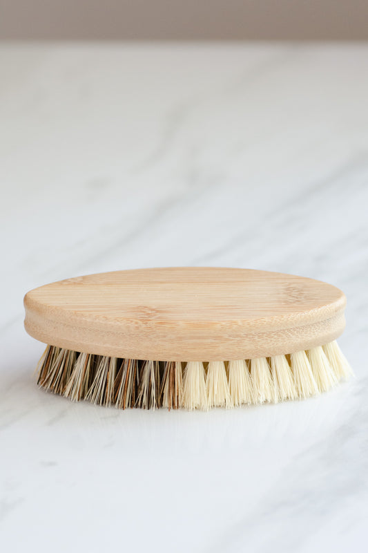 CASA AGAVE® DUO TONE VEGETABLE BRUSH | GENERAL CLEANING - Case of 12
