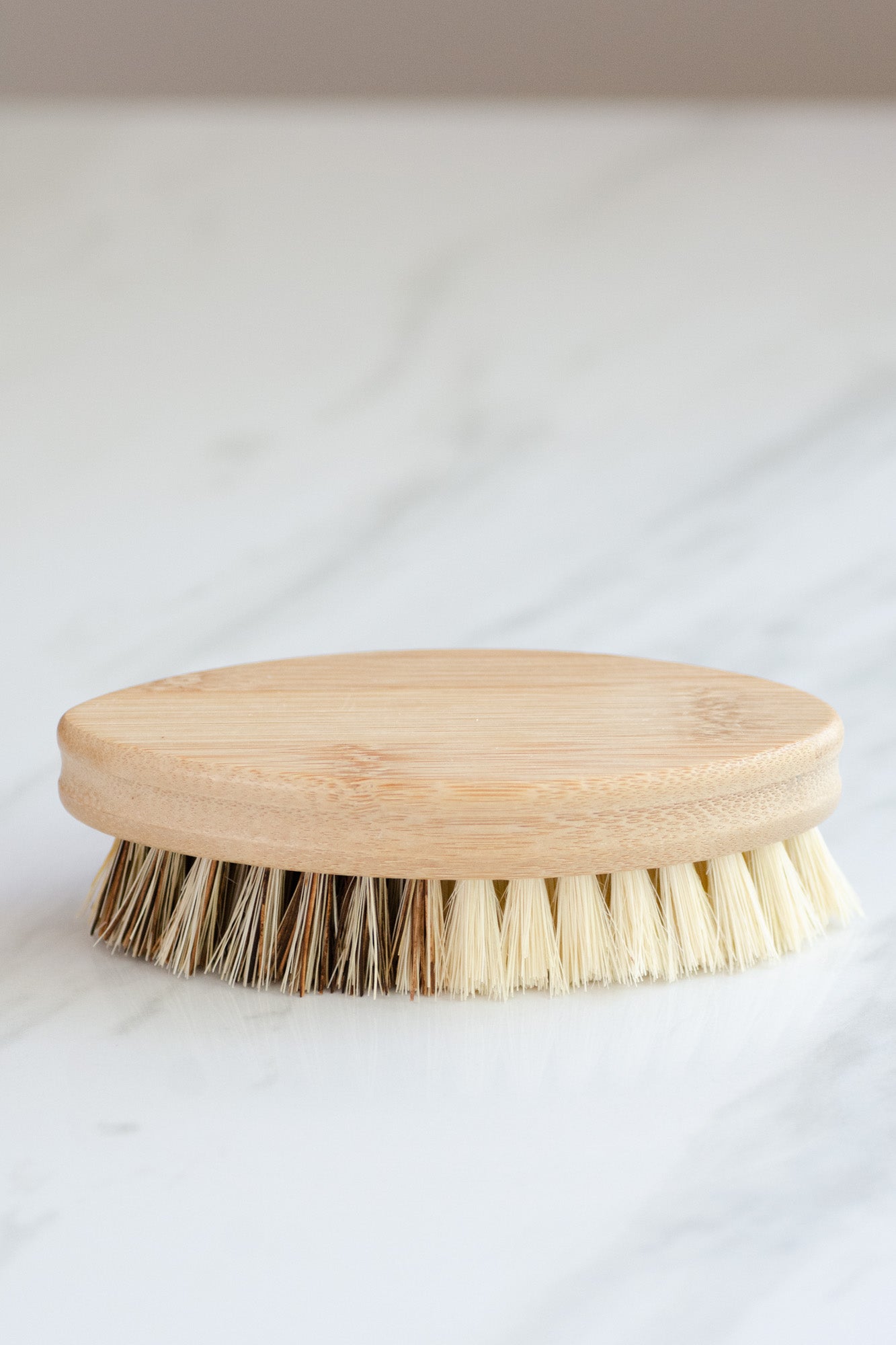 CASA AGAVE® DUO TONE VEGETABLE BRUSH | GENERAL CLEANING - Case of 12