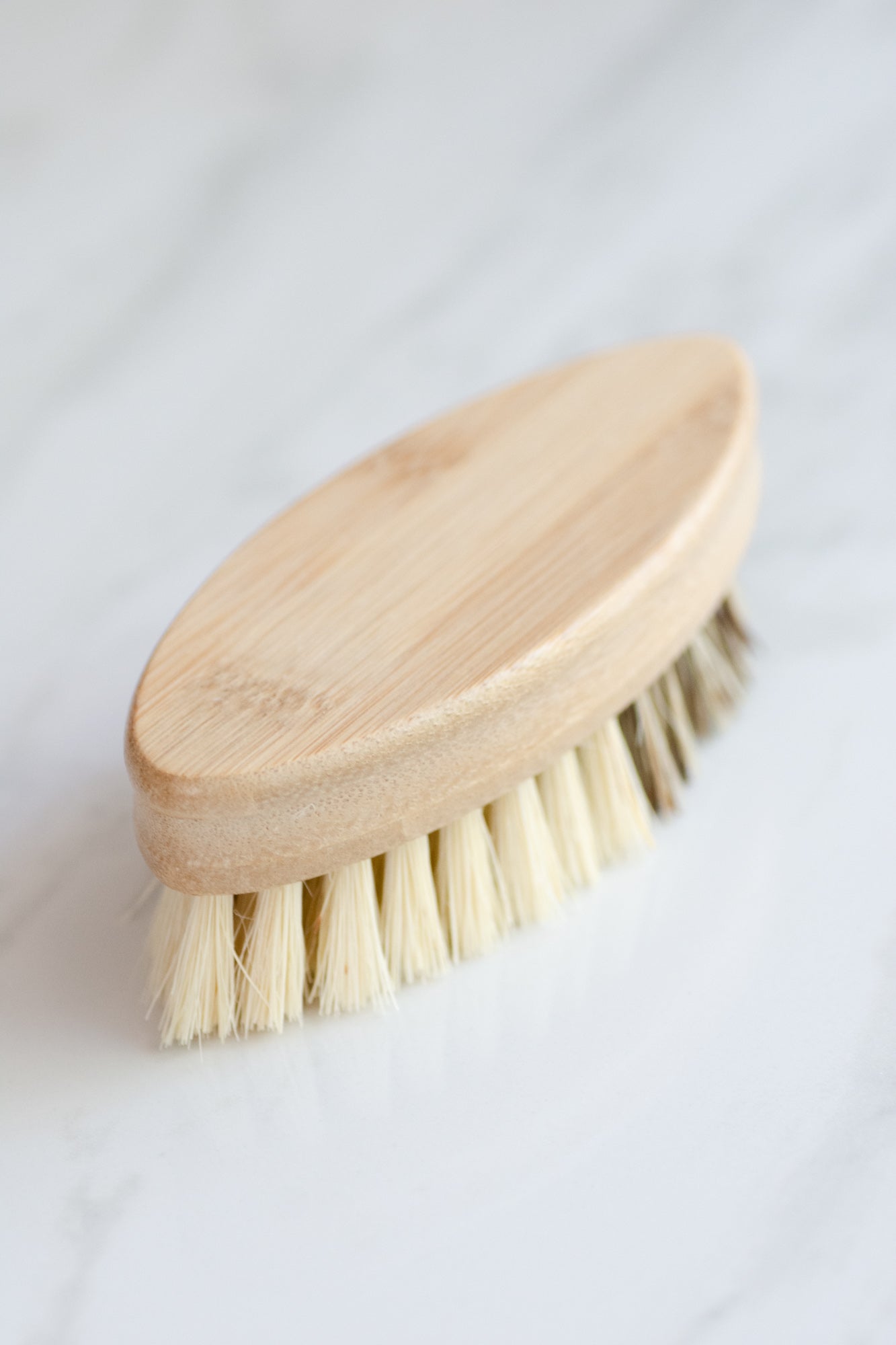 CASA AGAVE® DUO TONE VEGETABLE BRUSH | GENERAL CLEANING - Case of 12