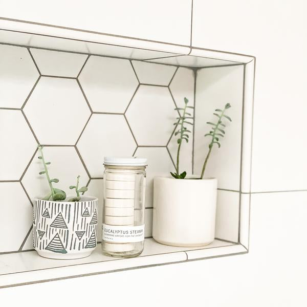 EUCALYPTUS STEAM® Cleansing vapors for the shower™ - Normal Jar - Case of 12